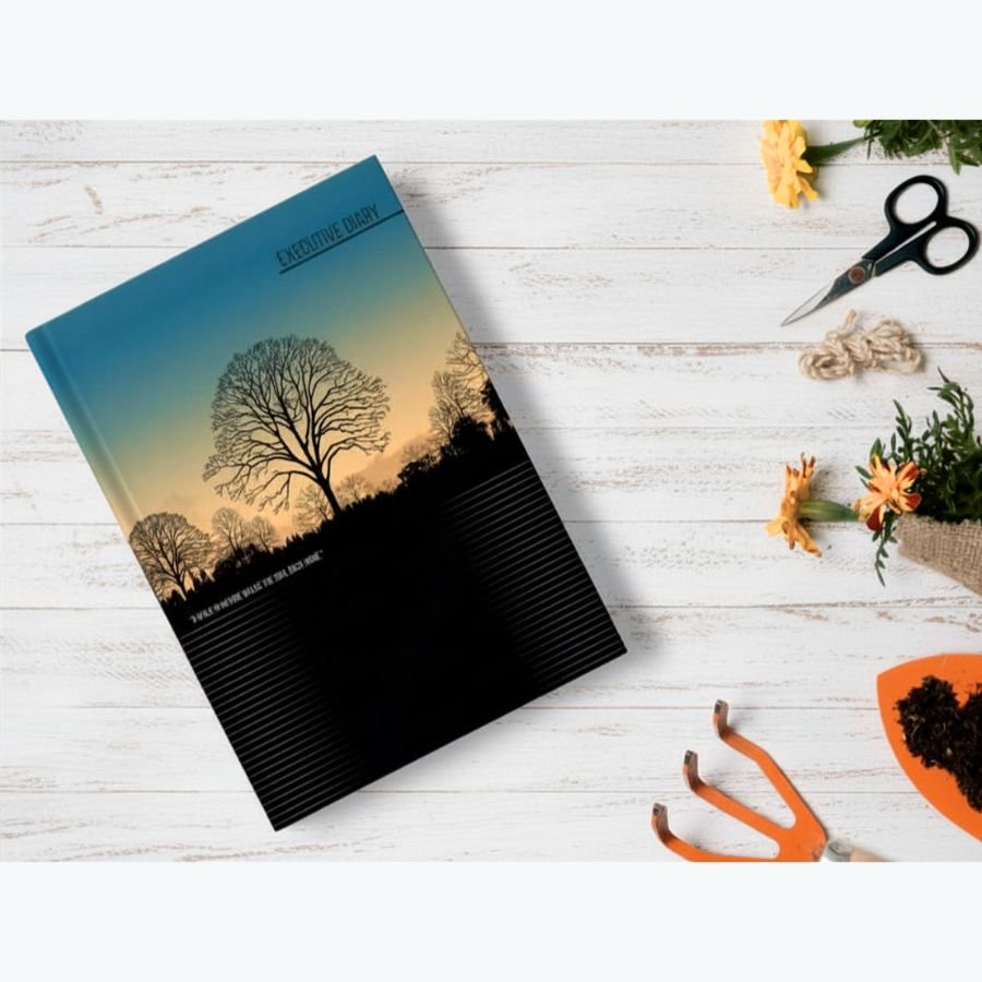 Classic Series Diary